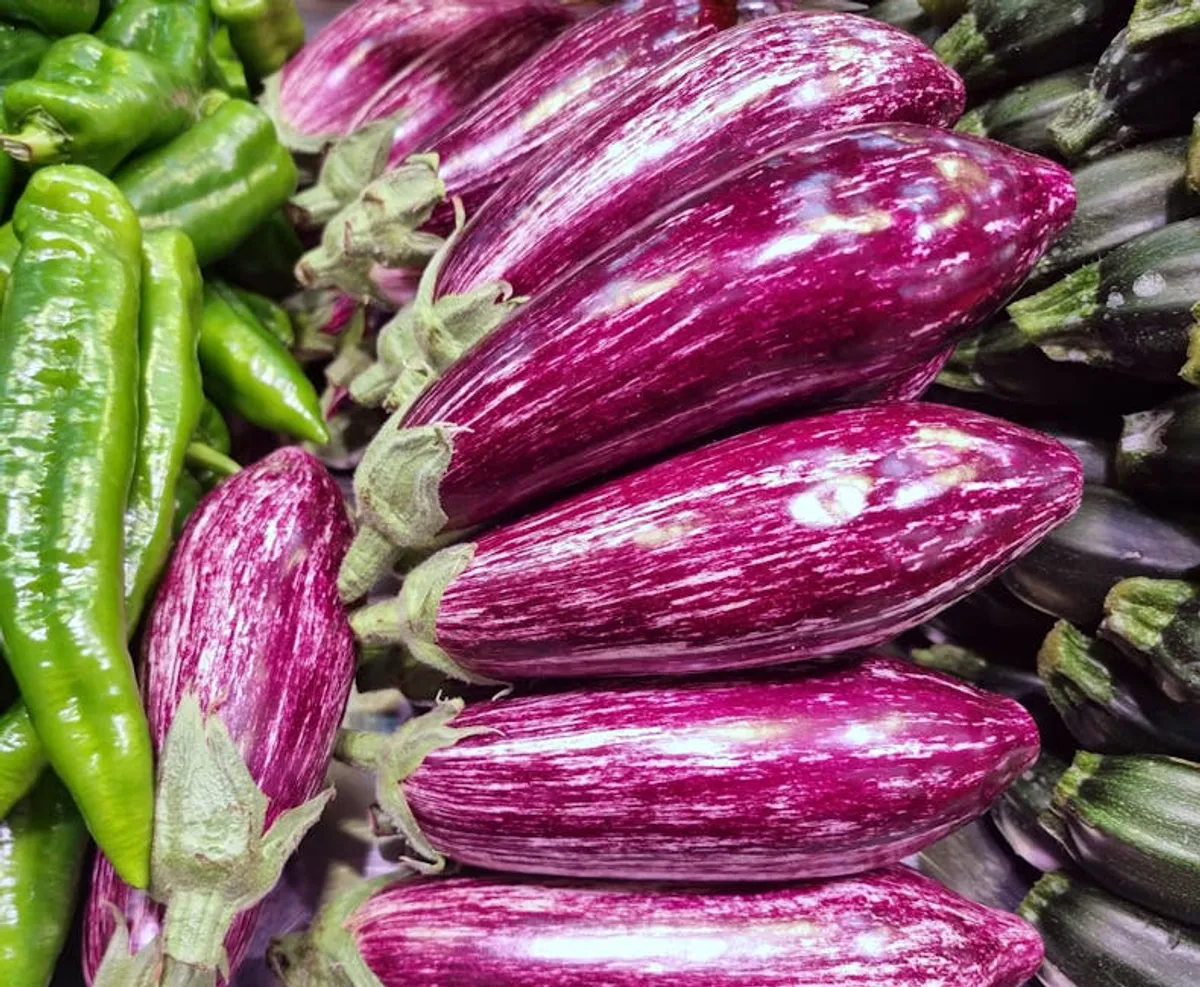 Chinese Eggplant With Garlic Sauce