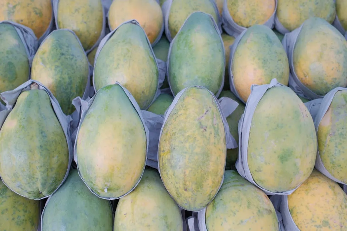 Green Papaya Recipes for Beginners