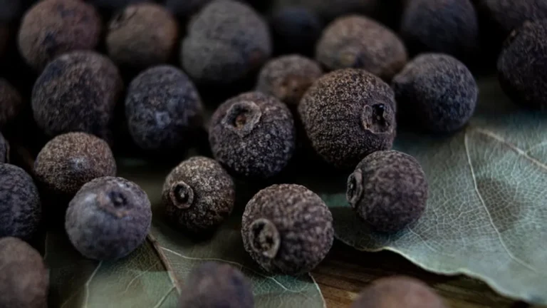 What Is Allspice? Taste, Uses, and Substitutes